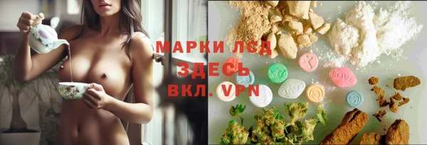 хмурый Алексин