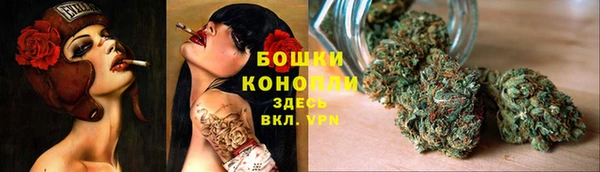 spice Алзамай