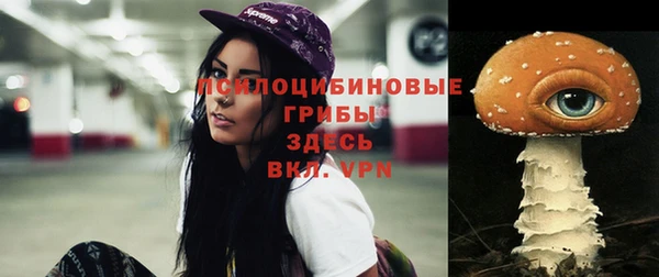 хмурый Алексин