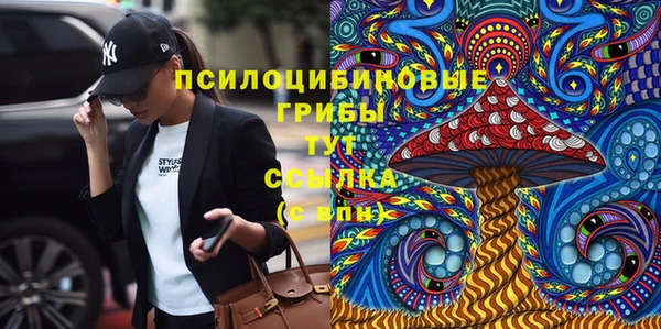 Альфа ПВП Армянск